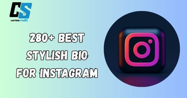 Stylish Bio For Instagram