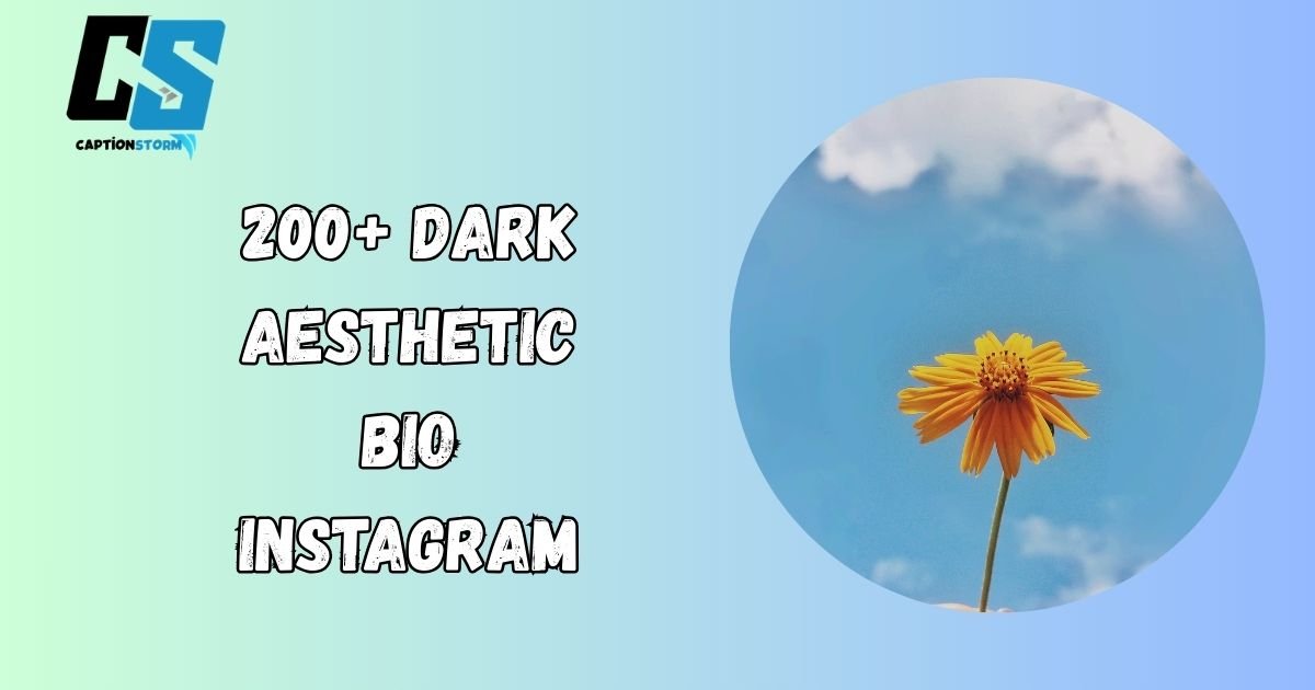 Dark Aesthetic Bio Instagram