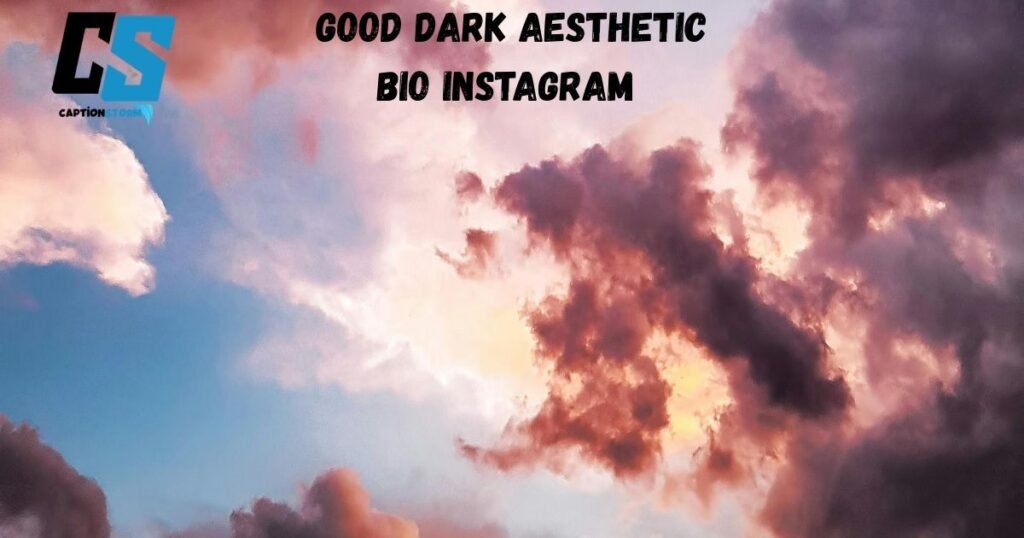 Good Dark Aesthetic Bio Instagram 