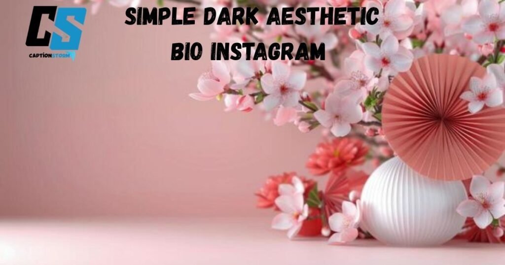 Simple Dark Aesthetic Bio Instagram 