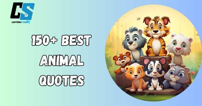 Animal Quotes
