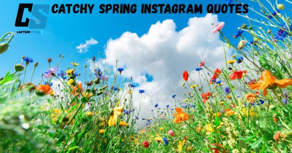 Catchy Spring Instagram Quotes  