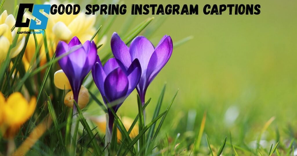Good Spring Instagram Captions 