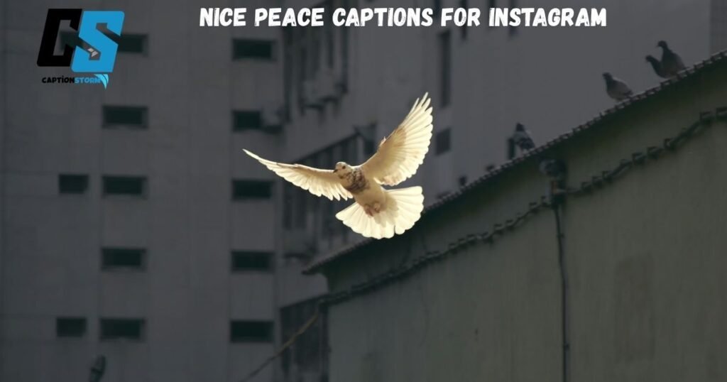 Nice Peace Captions for Instagram