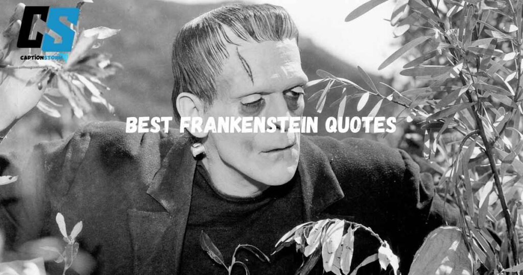 Best Frankenstein Quotes
