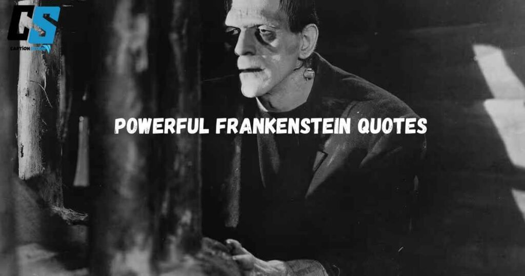 Powerful Frankenstein Quotes