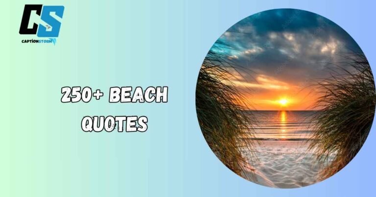Beach Quotes