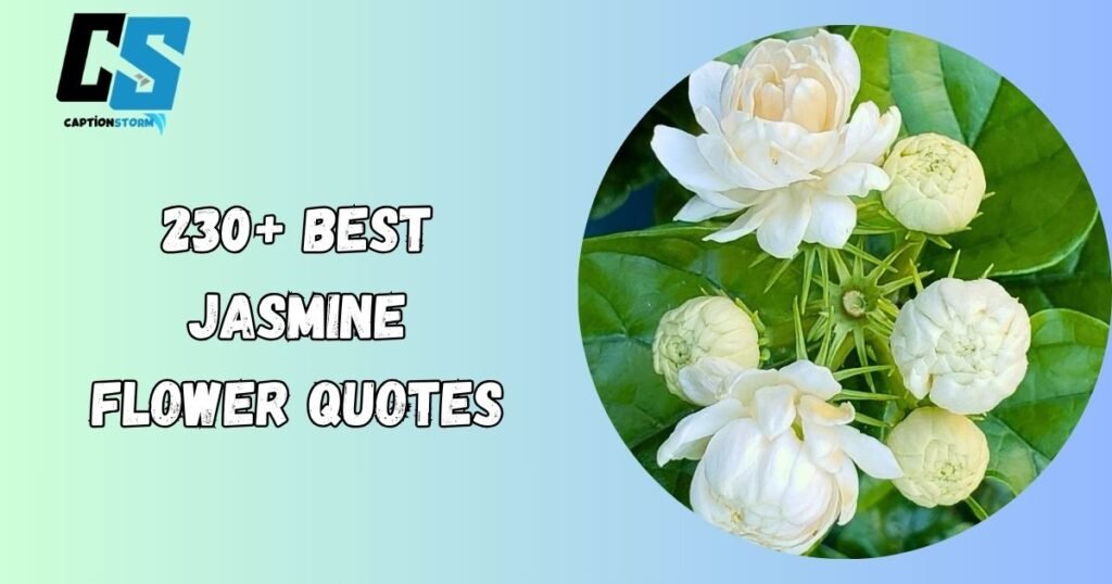 Jasmine Flower Quotes