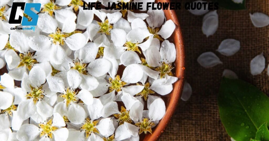 Life Jasmine Flower Quotes